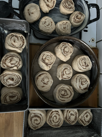 4 Backformen stehen in der Küche. Eine Springform mit 7 Teiglingen, zwei Kastenformen mit je 4 Teiglingen und eine Auflaufform mit 6 Stück.