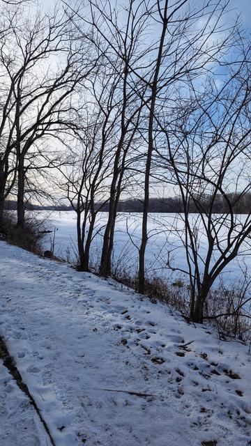 A winter scene on the shores of a frozen lake. The sun is shining through the bare branches of the trees, and both the ground and the lake are covered in snow.