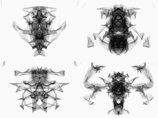 Digital drawing, translucent dark soft lines on an off-white background, looking like some four radiographs on a grid, clockwise from the top right, of a fish, a beetle, a decapod crustacean and a shark.