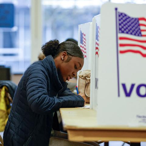 photo - voter at the polling booth