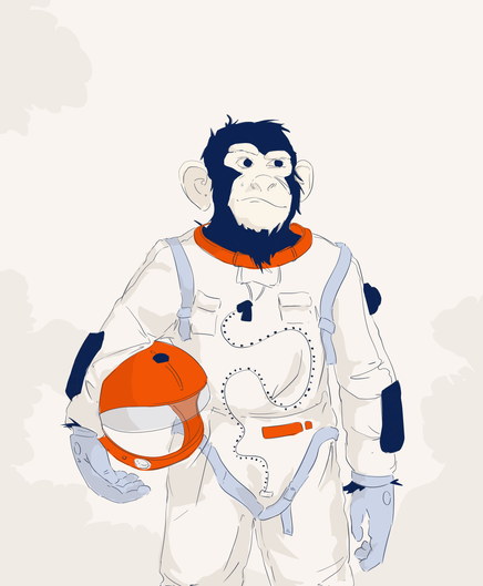monkey in a space-suit