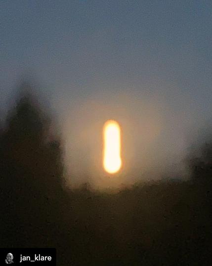 window, look outside in dawn, silhouettes of plants, reflection of a lamp. colors blue / black / warm yellow light.