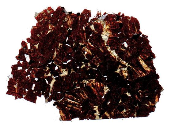 Northwest Africa (NWA) 2737 Meteorite Thin Section - HDR Pathscan Enabler.
