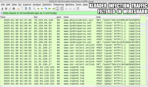 Traffic from the XLoader infection filtered in Wireshark.
