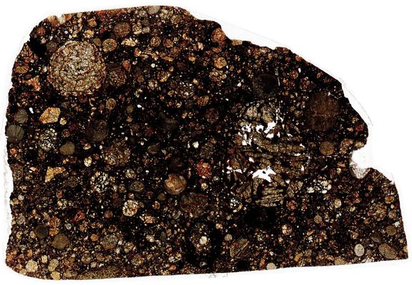 Northwest Africa (NWA) 5677 Meteorite Thin Section - HDR Pathscan Enabler.