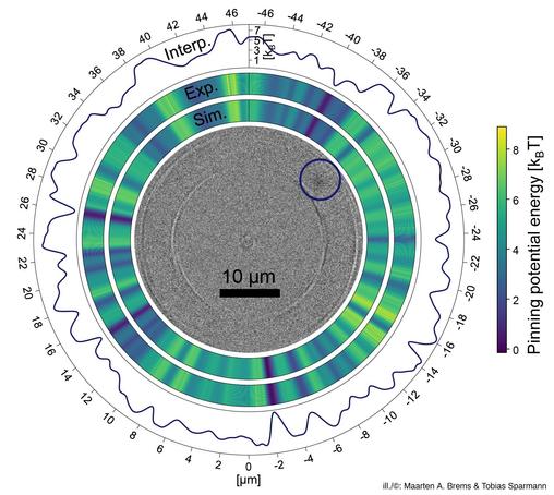 Magneto-optical microscope image of a skyrmion, which is the dark spot marked by a blue circle, in a ring of magnetic material. The spatially resolved pinning potential, which determines the special occurrence probability of the skyrmion, is shown. This is inhomogeneous due to material defects. The results from simulation and experiment as well as a high-resolution interpolation of the experimental results are shown around the microscopy image. (ill./©: Maarten A. Brems & Tobias Sparmann)