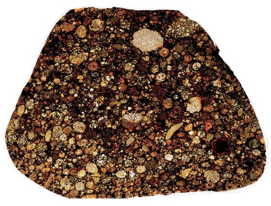 Northwest Africa (NWA) 2377 Meteorite Thin Section - HDR Pathscan Enabler.