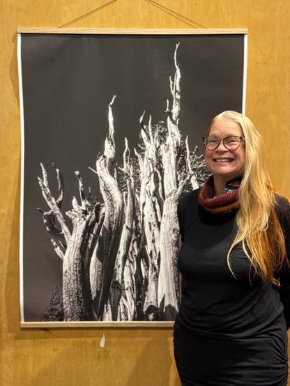 [Image ID: A color photo of Denise standing in front of one of her photos. It is a very large print of a Bristlecone pine tree hanging on wooden magnetic rails against a wooden wall. Denise is wearing a black shirt and has a burgundy and orange scarf around her neck. End description.]
