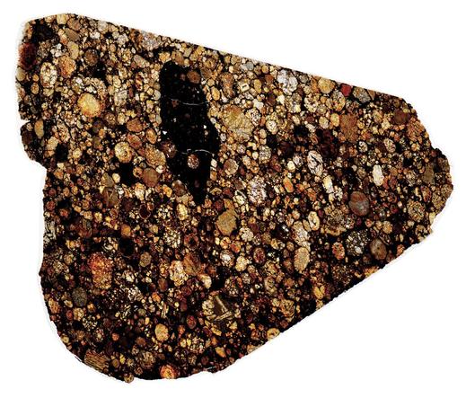 Northwest Africa (NWA) 2911 Meteorite Thin Section - HDR Pathscan Enabler.