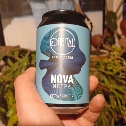 Photo de canette de bière VEGA, NEIPA simple aux houblons Citra et Simcoe, sur fond de mes plantes vertes