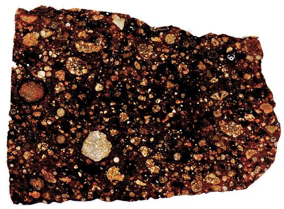 Northwest Africa (NWA) 5584 Meteorite Thin Section - HDR Pathscan Enabler.