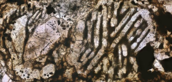 Clarendon (c) Meteorite Meteorite Thin Section microphotograph.