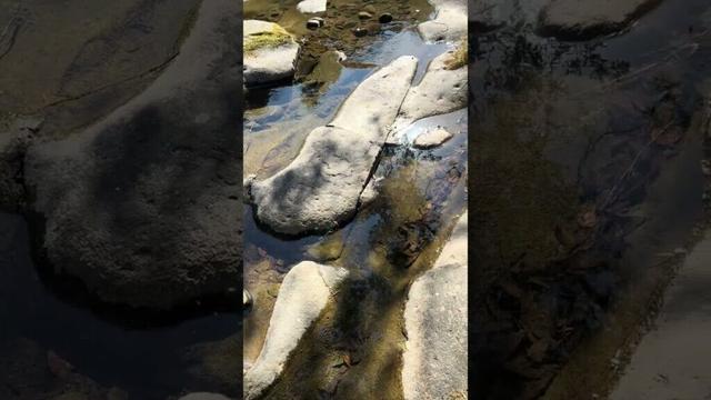 ②「とどろ渓谷」【2025/01/20】鹿児島県志布志市志布志町安楽