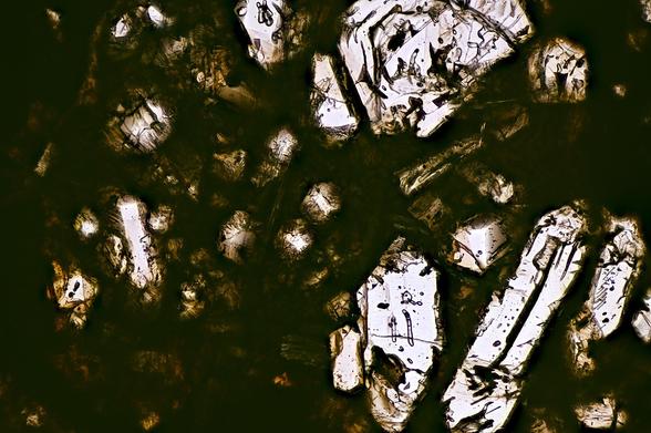 Northwest Africa (NWA) 12692 Meteorite Meteorite Thin Section microphotograph.