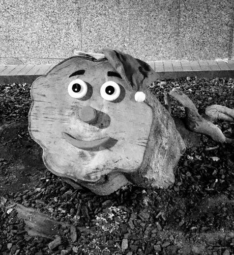 Soca d'arbre gran disfressada de tió de Nadal en unoarc de carrer