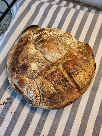 Sourdough loaf looking uneven