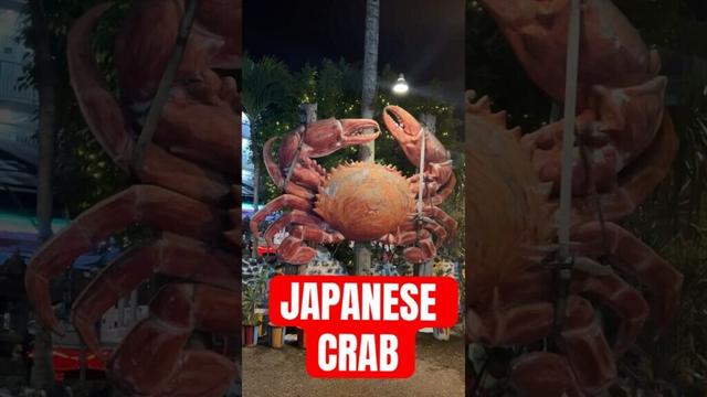 Explore OKINAWA Like a Local!