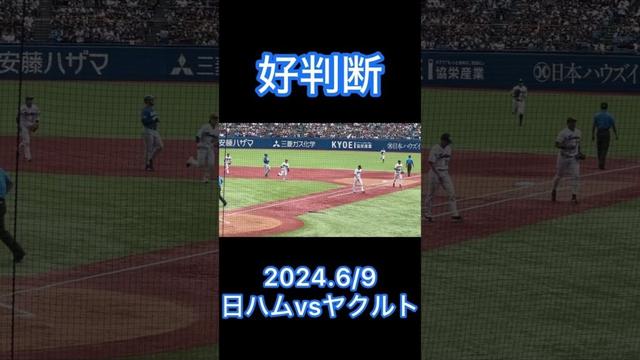 3-3-6のダブルプレー #shorts #東京ヤクルトスワローズ #プロ野球