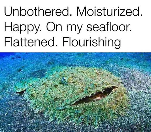 Image: Meme depicts round flat fish with wide mouth grinning on seafloor, with Meme Caption: "Unbothered. Moisturized.  Happy. On my seafloor.  Flattened. Flourishing"