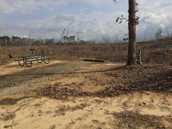 Title: Private Profit Clear Cuts Public Benefit

Alt Text: Photograph of a public camping site woth a clearcut forest in the background. There is a firepit, a picnic table, and an electrical outlet, plus one large pine tree. There is no one camping in this space.

Photographer: Marshall Mayer aka @AuthenticPhoto

Date and Time: December 11, 2015 at 10:55 am

Location: Site 2, Elvis Presley Lake and Campground, Tupelo, MS USA

License: CC BY-NC-ND 4.0

Caption: What you can't see in this note is the opposite view. Several trailers (not campers) are parked long-term, each with a view of a forest as well as a sewer pipe that drains into a gully behind the campground. It's not right that people have little choice but to live like this.

Hashtags: #PublicLand #IndustrialAgriculture #Clearcut #EnvironmentalDisaster #PrivateProfit #RuralPoverty #ElvisPresley #Authentic #Photography 

Source: https://take-note.com/note-takers/marshall--mayer/notes/private-profit-clear-cuts-public-benefit/view