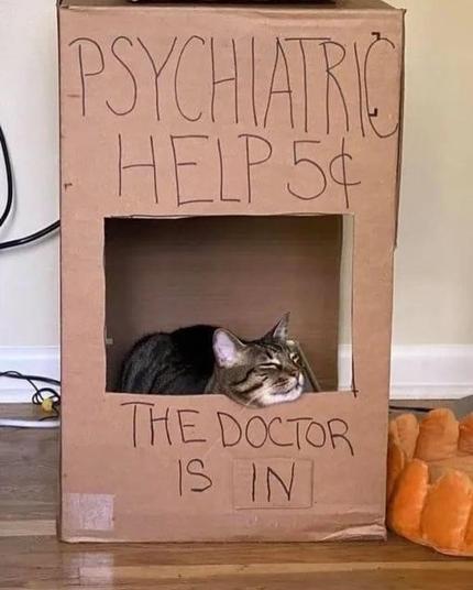Psychiatric help booth-The Doctor is in Sign-- kitty sleeping in booth