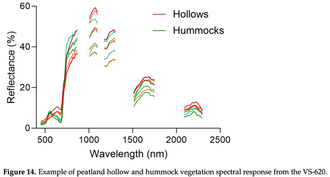 Hyperspectral reflectance data showing the difference in response between vacular plants of the hummocks and mosses of the hollows. From: Arroyo-Mora et al. Development of a Novel Implementation of a Remotely Piloted Aircraft System over 25 kg for Hyperspectral Payloads. Drones 2023, 7,652.