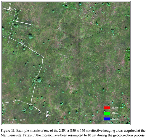 A generated image of a wetland from drone-based hyperspectral imaging. Each pixel represents a 10cm by 10cm area with ~ 400 spectral bands of reflectance data. From:
Arroyo-Mora et al. Development of a Novel Implementation of a Remotely Piloted Aircraft System over 25 kg for Hyperspectral Payloads. Drones 2023, 7,652.