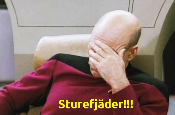 Enterprisen kapteeni Jean-Luc Picard tekee naamapalmun ja huudahtaa ”Sturefjäder!”.