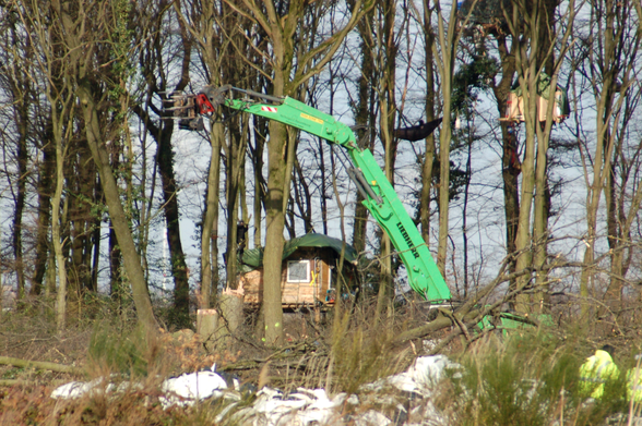 Eine Forstmaschine (Harvester) fällt einen Baum direkt neben den Baumhäusern der Waldbesetzung in Manheim