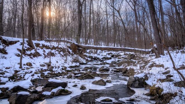 Image of Crabbs Branch, Rock Creek Regional Park, in Rockville, MD on a winter day. The snow is beginning to melt, but it still blankets the entire landscape.
