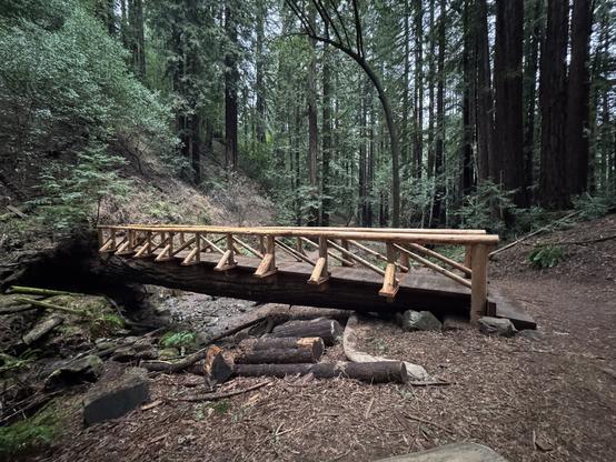 A bridge built out of a log with planks on it and hand rails.