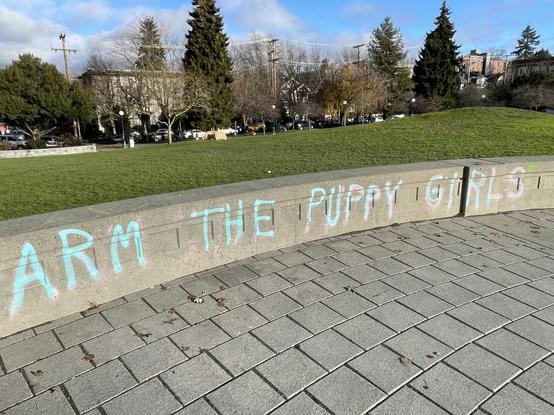 "Arm the puppy girls" written across a short wall in blue and pink spray paint.