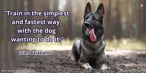 "Train in the simplest and fastest way, with the dog wanting to do it." - Ivan Balabanov