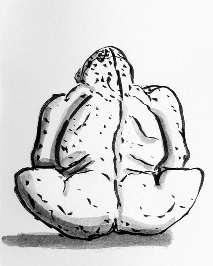 Ink sketch of a gorilla.