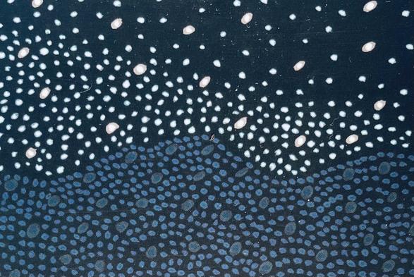 Dorrigo escarpment, Gondwana Rainforest without clutter