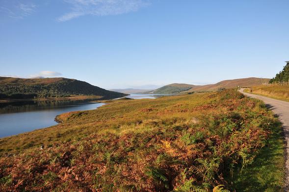 Strathnaver in northern Sutherland. The image shows a broad bracken hillside descending to the left to a long loch, with a hill on its far side. On the right a narrow road leads into the landscape. The sky is nearly clear blue and the bracken is quite brown.
