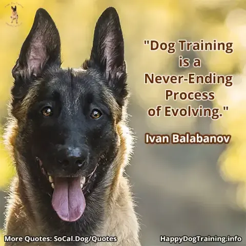 "Dog training is a never-ending process of evolving." - Ivan Balabanov