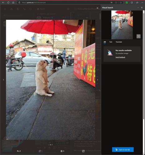 #VisualSearch is #StillQuiteCool...