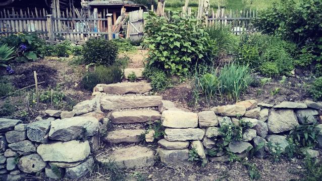 stonestairs embedded in stonewall in the garden with plants and soil