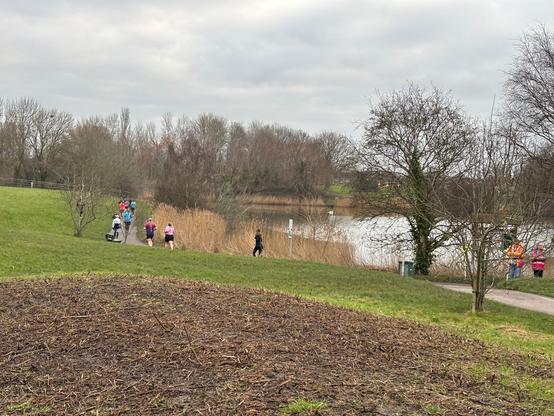 Photo of runners in the distance winding through a park on a path.