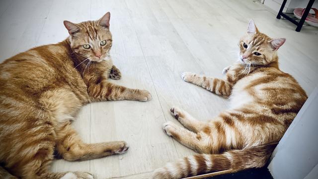 George left and Washy right