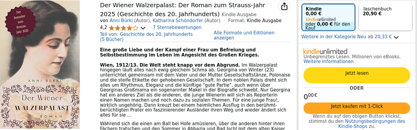 Buchcover "Wiener Walzerpalast" und Klappentext