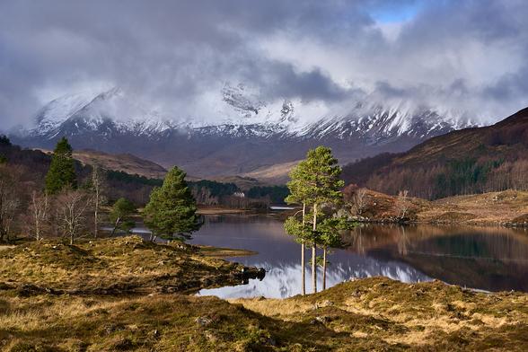 Bright sunshine illuminates the foreground of grass and pine trees  leading to Loch Coulin. In the background is Beinn Eighe again with sun and cloud on it's snowy slopes.