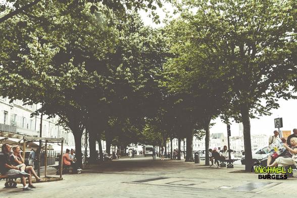 A tree-lined pedestrian path in La Rochelle is bustling with people relaxing on benches and strolling. The trees form a natural canopy, illuminating the scene and creating a serene and lively atmosphere.