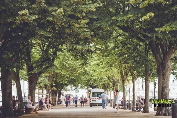 A lively tree-lined path in La Rochelle, with people sitting on benches and strolling. The green canopy of leaves provides shade and tranquillity, while a van parked in the background hints at urban life blending with nature.