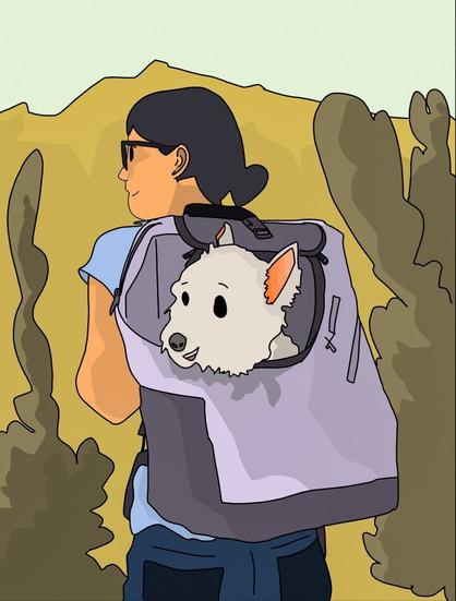 Illustration of a mountain hike