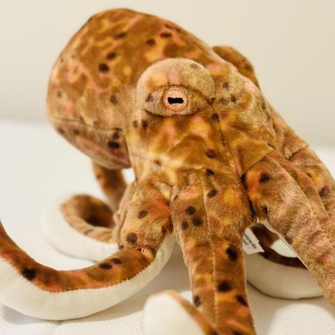 A photo of an octopus plush toy from Monterey bay aquarium store