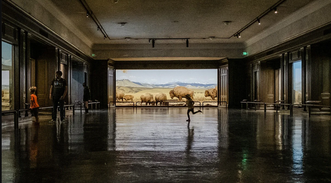Do science dioramas still have a place in today’s museums?
