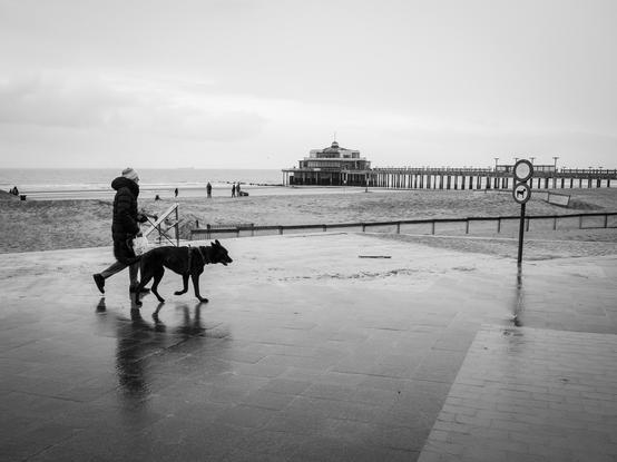 A black and white street photo taken on a rainy day in Blankenberge, Belgium. A woman walks with a big dog along the sea wall. In the background, the beach and the pier of Blankenberge are visible.