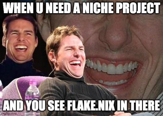 tom cruise losing it collage captioned "when u need a niche project and you see flake.nix in there"